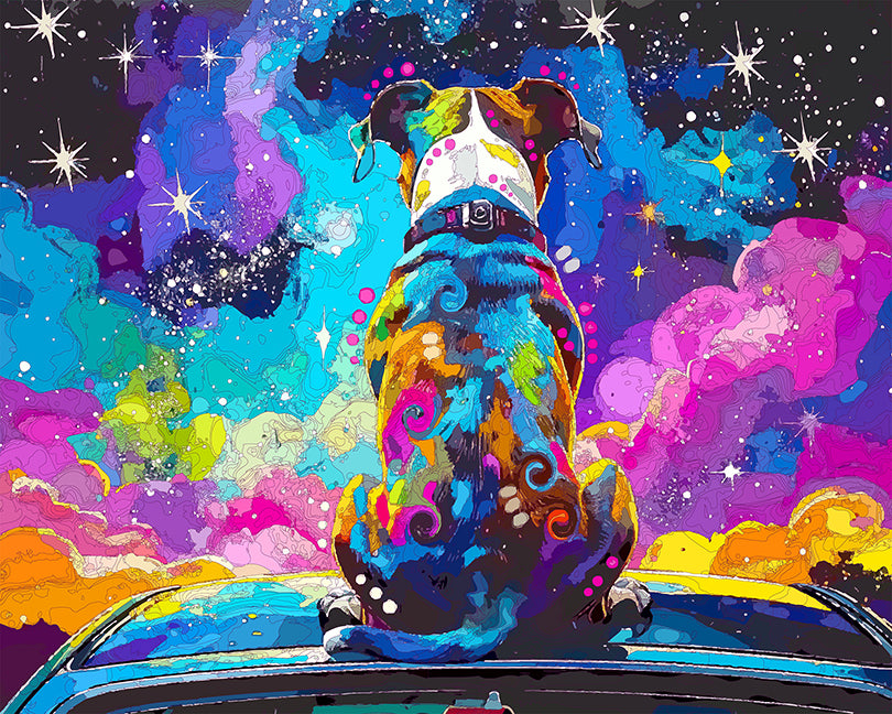 The Return Of Car Top Stargazer Mini Print (Ltd. Edition) (082625)