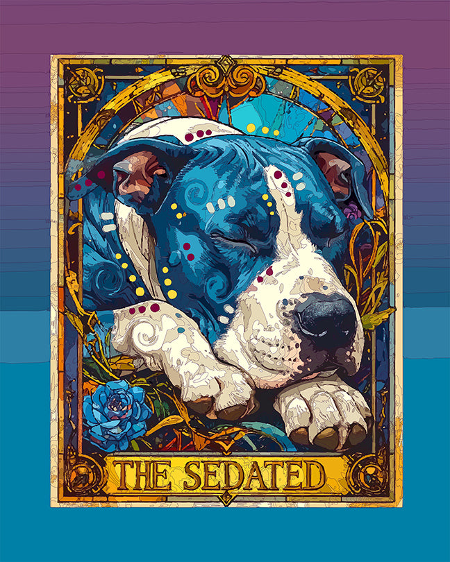 The Sedated Tarot Mini Print (Ltd. Edition) (062326)