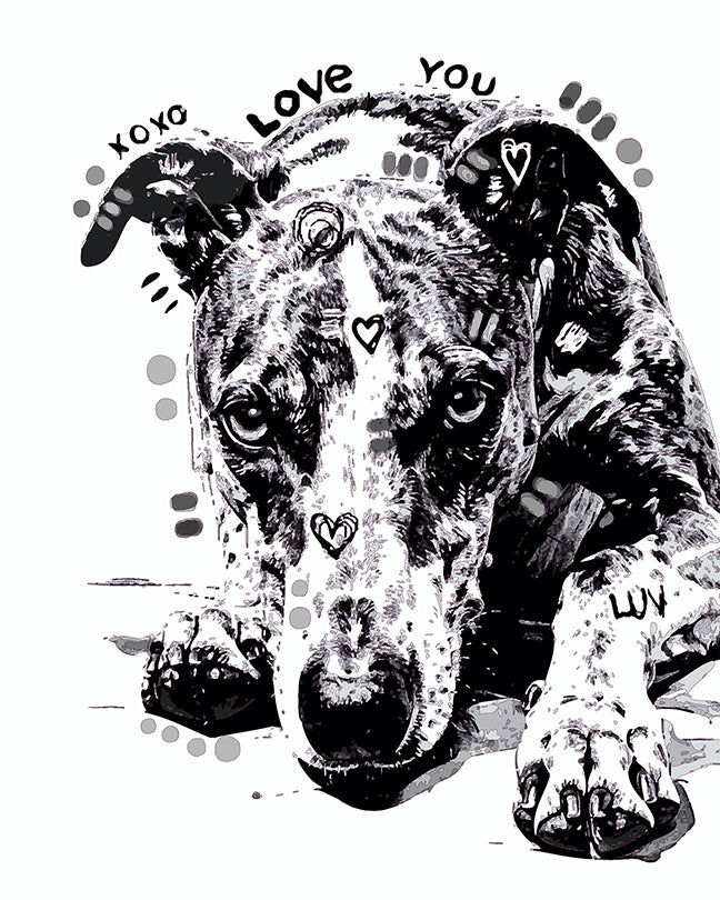 The Sketchy Lay Down Greyhound Mini Print (Ltd. Edition) (112025)