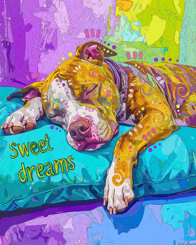 The Sweet Dream Pillow Pit Mini Print (Ltd. Edition) (091225)