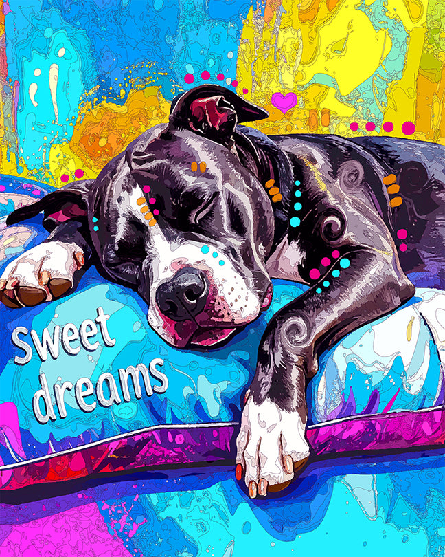 The Throwback Sweet Dream Pillow Pit Mini Print (Ltd. Edition) (061626)