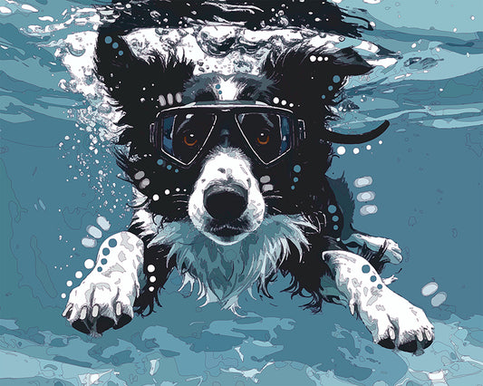 The Border Dive Mini Print (Ltd. Edition) (010826)