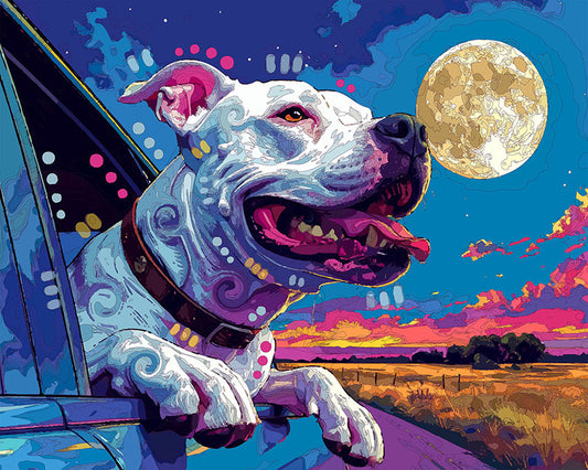 The Full Moon Traveler Mini Print (Ltd. Edition) (050626)