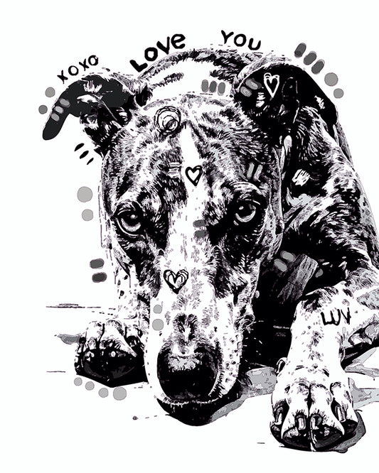 The Sketchy Lay Down Greyhound Mini Print (Ltd. Edition) (112025)